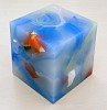 Matthias van Arkel, Mini-Cube 13-20-4