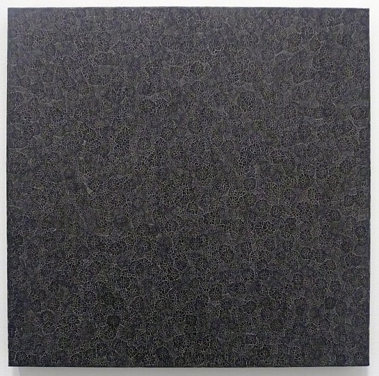 Tad Mike, Tatra Mountains, Zakopane Poland: Stones of Miroslaw Baca I, August - November 2011, Study #2, 2011
Walnut ink and Swiss varnish on artfix Belgian linen, 16 x 16 inches (41 x 41 cm)