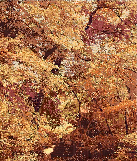 Gary Carsley, D.71 Central Park (Strawberry Fields), 2007
Lambda monoprint, 56 x 47.5 inches (142 x 121 cm)