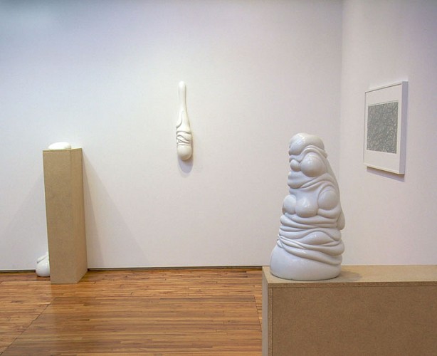 Flow - Installation View