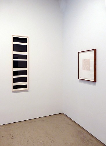 Cadence - Installation View