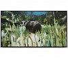 Alex Kanevsky Irish Cow