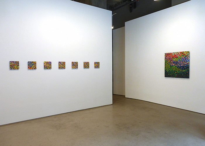 Carlos Estrada-Vega - Suite Color - Installation View