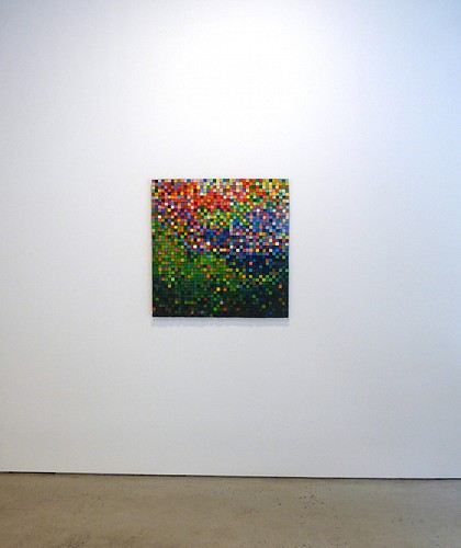 Carlos Estrada-Vega - Suite Color - Installation View