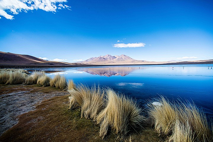 Michael Seiden, Laguna Canapa, Altiplano, Bolivia, May 12, 2014, 2014
Cibachrome print on Flex paper, 32 x 48 inches (81 x 122 cm)