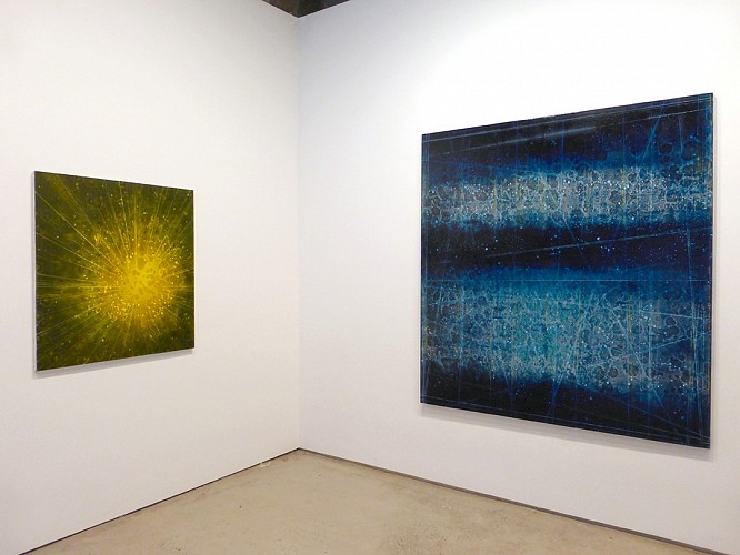 David Mann - Sympathetic Strings - Installation View