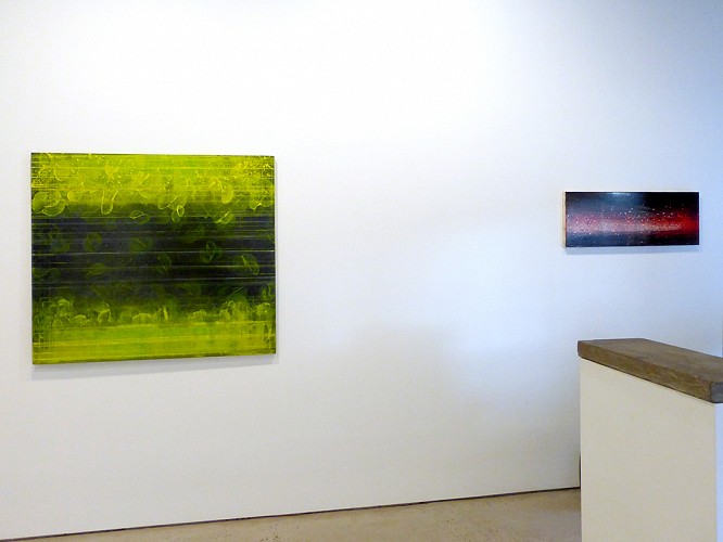 David Mann - Sympathetic Strings - Installation View