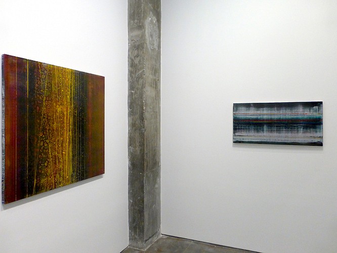 David Mann - Sympathetic Strings - Installation View