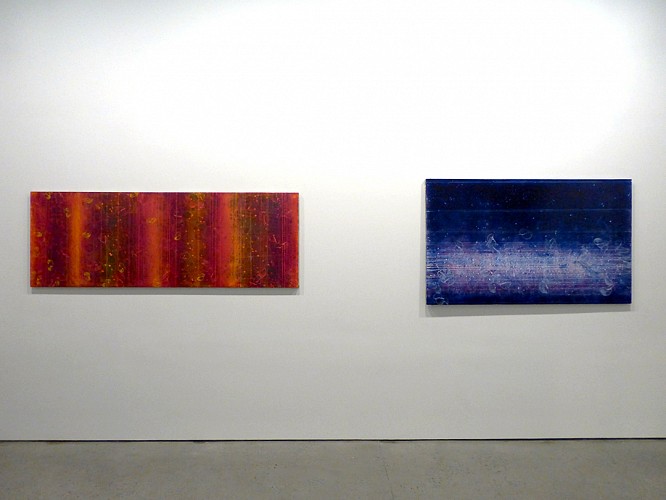 David Mann - Sympathetic Strings - Installation View