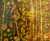 DavidMann TheChordDetail