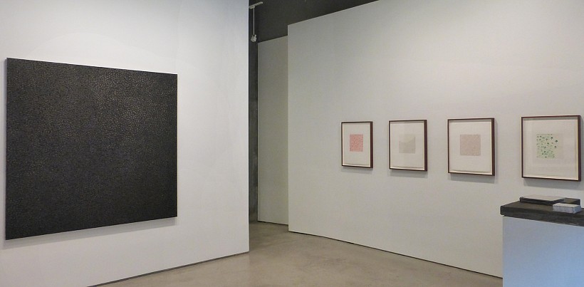 Tad Mike -- Drawing Through: France & Poland - Installation View