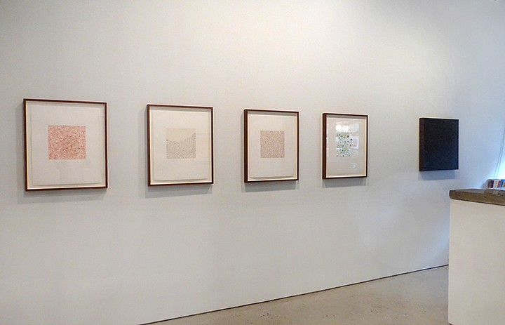 Tad Mike -- Drawing Through: France & Poland - Installation View