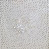 Jaq Belcher Inside Out Margaret Thatcher Projects Gallery New York Detail