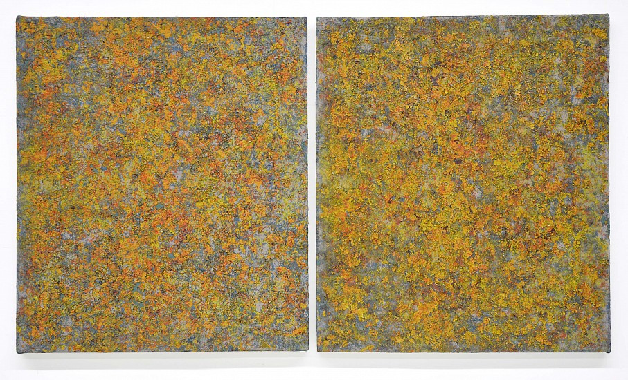 Rainer Gross, Precope Twins , 2017 - 2018
Oil and pigments on canvas
30 x 26 inches (76 x 66 cm) each | 30 × 53 inches (76 x 135 cm) total