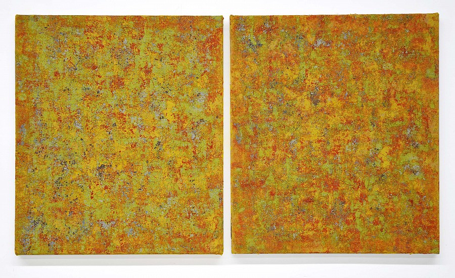 Rainer Gross, Warren Twins, 2017 - 2018
oil and pigment on canvas
30 x 26 inches (76 x 66 cm) each | 30 × 53 inches (76 x 135 cm) total