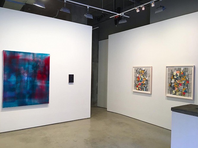 MATERIAL COLOR  - Installation View