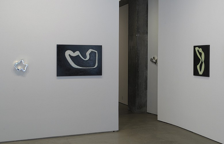 Brice Brown | A Thing Attains A Life - Installation View