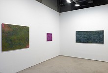 Past Exhibitions Karin Waskiewicz - Recent Paintings Nov  6, 2021 - Jan 15, 2022