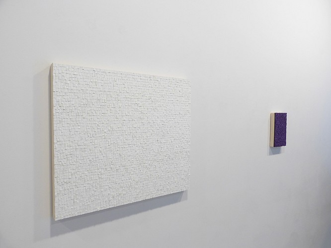OMAR CHACON - CIRIO TOTALE - Installation View