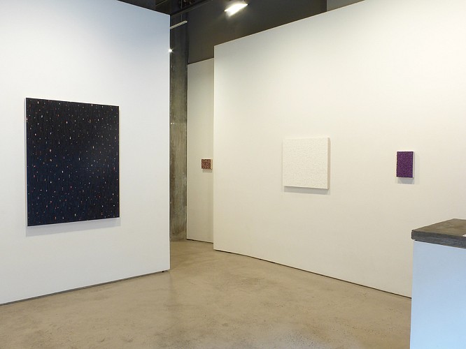 OMAR CHACON - CIRIO TOTALE - Installation View